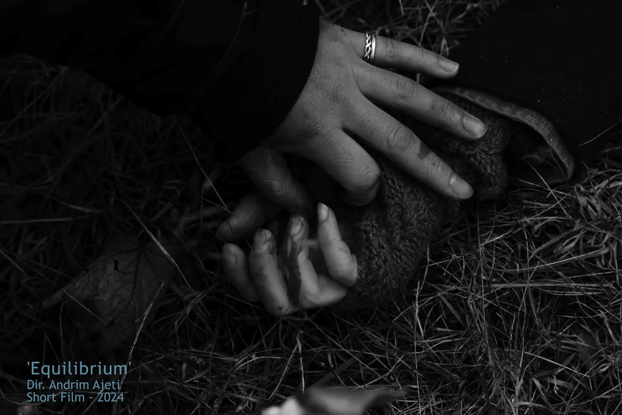 2024-11_Film-004_Equilibrium (2024)